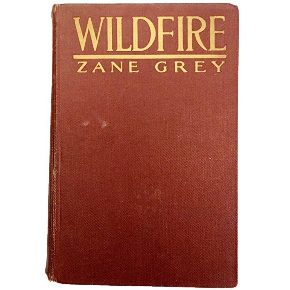 1917 Wildfire Zane Grey First Edition Western Illustrated Vintage HC WHBS